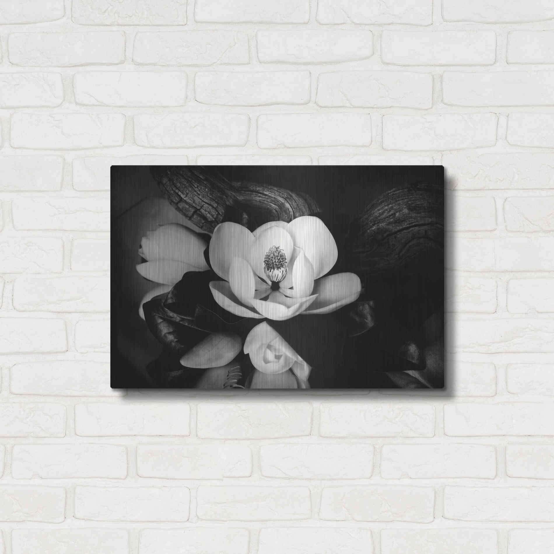 Luxe Metal Art 'Magnolia and Driftwood II' by Debra Van Swearingen, Metal Wall Art,24x16