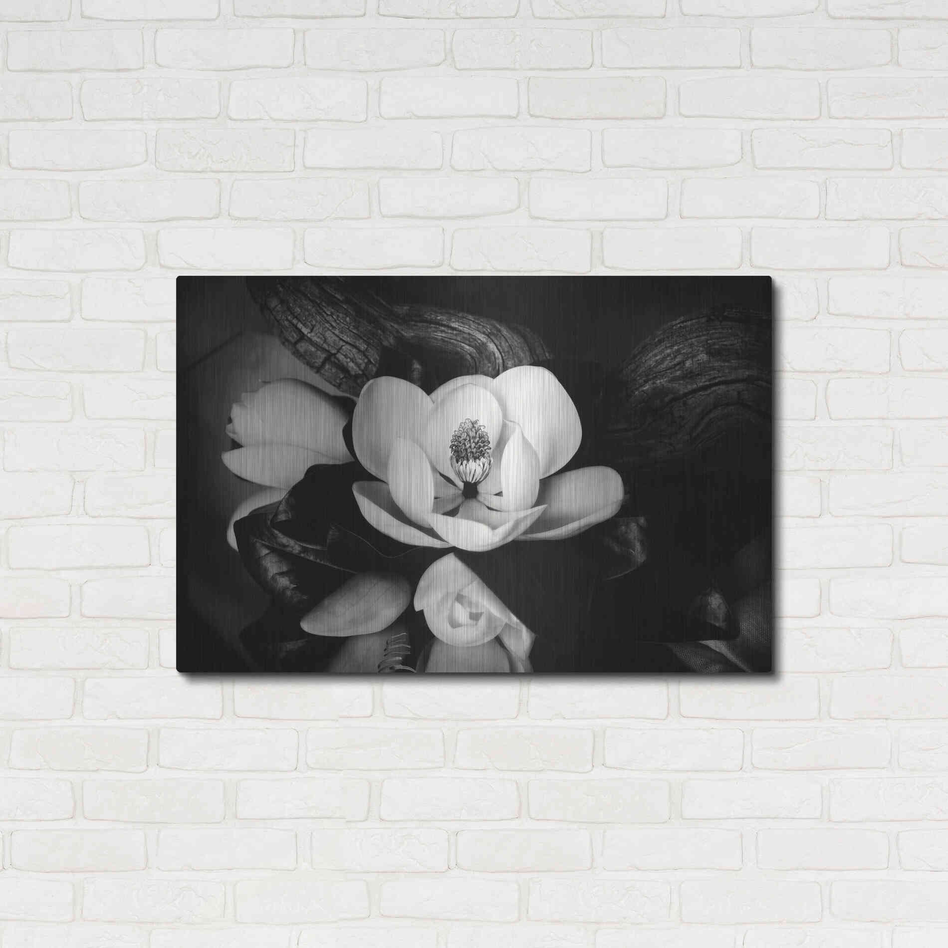 Luxe Metal Art 'Magnolia and Driftwood II' by Debra Van Swearingen, Metal Wall Art,36x24