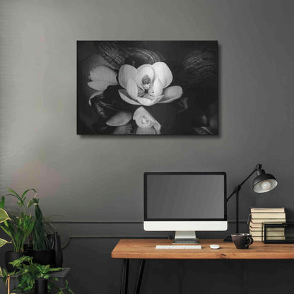 Luxe Metal Art 'Magnolia and Driftwood II' by Debra Van Swearingen, Metal Wall Art,36x24