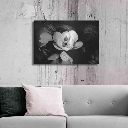 Luxe Metal Art 'Magnolia and Driftwood II' by Debra Van Swearingen, Metal Wall Art,36x24