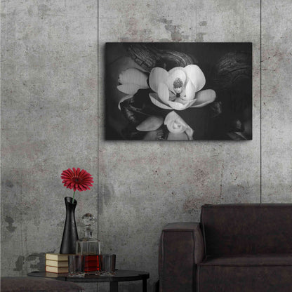 Luxe Metal Art 'Magnolia and Driftwood II' by Debra Van Swearingen, Metal Wall Art,36x24