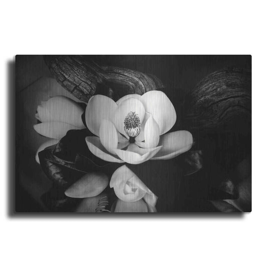 Luxe Metal Art 'Magnolia and Driftwood II' by Debra Van Swearingen, Metal Wall Art