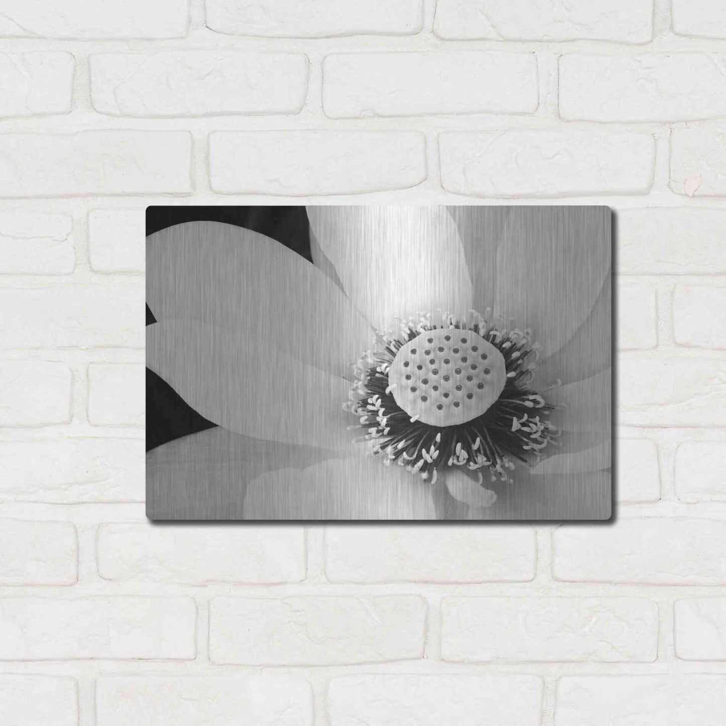 Luxe Metal Art 'Lotus Flower IV' by Debra Van Swearingen, Metal Wall Art,16x12