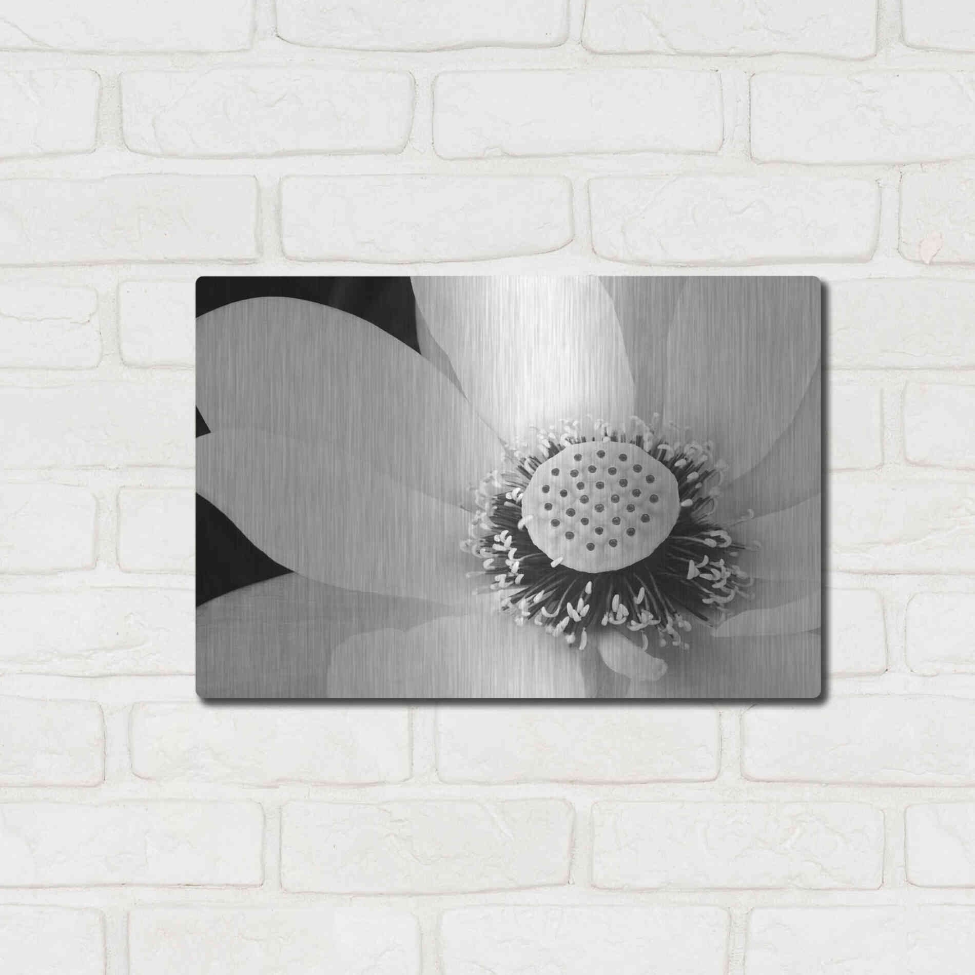 Luxe Metal Art 'Lotus Flower IV' by Debra Van Swearingen, Metal Wall Art,16x12