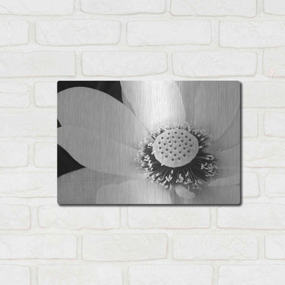 Luxe Metal Art 'Lotus Flower IV' by Debra Van Swearingen, Metal Wall Art,16x12