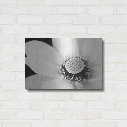 Luxe Metal Art 'Lotus Flower IV' by Debra Van Swearingen, Metal Wall Art,24x16