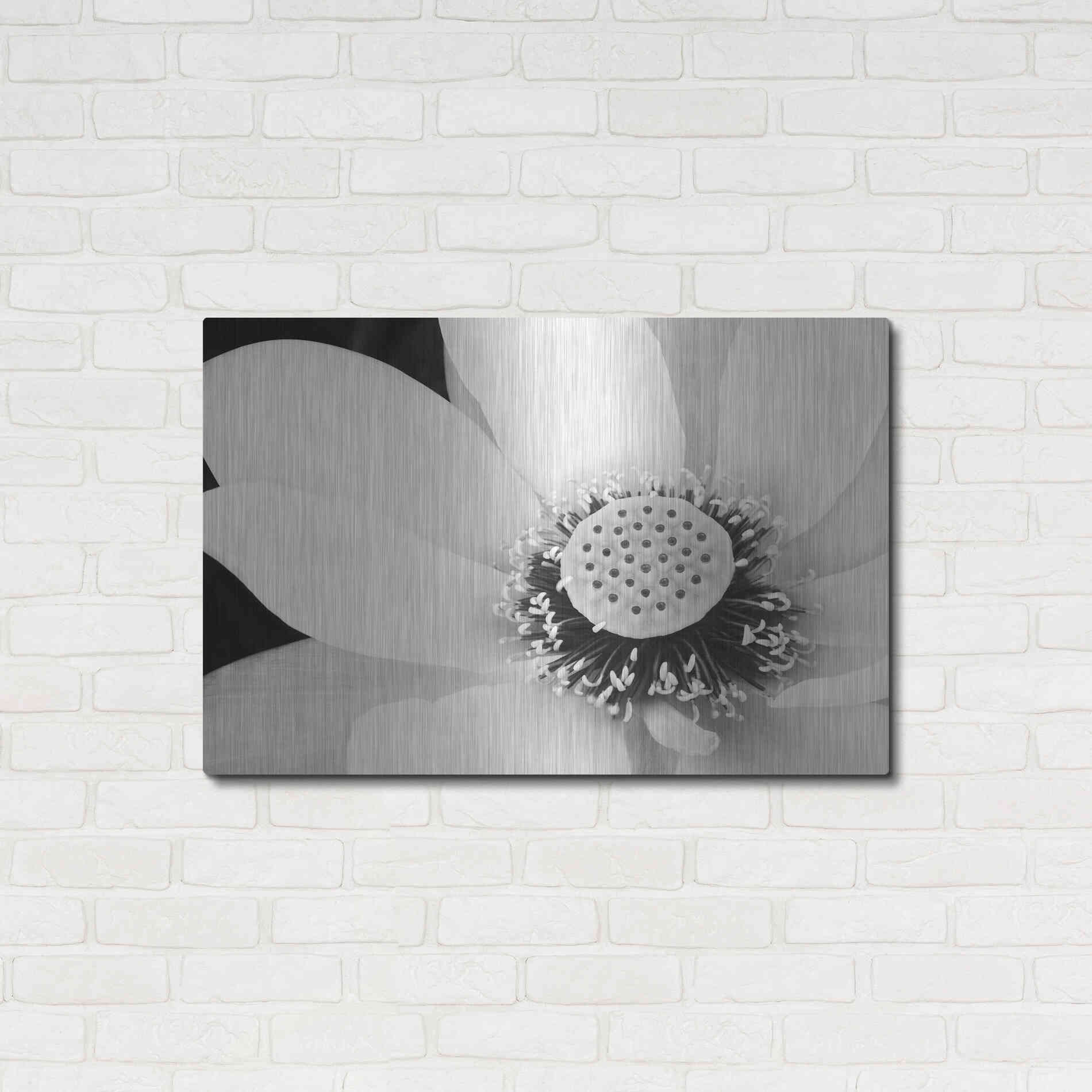 Luxe Metal Art 'Lotus Flower IV' by Debra Van Swearingen, Metal Wall Art,36x24