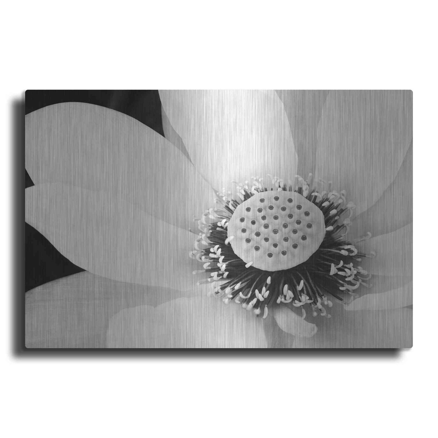 Luxe Metal Art 'Lotus Flower IV' by Debra Van Swearingen, Metal Wall Art