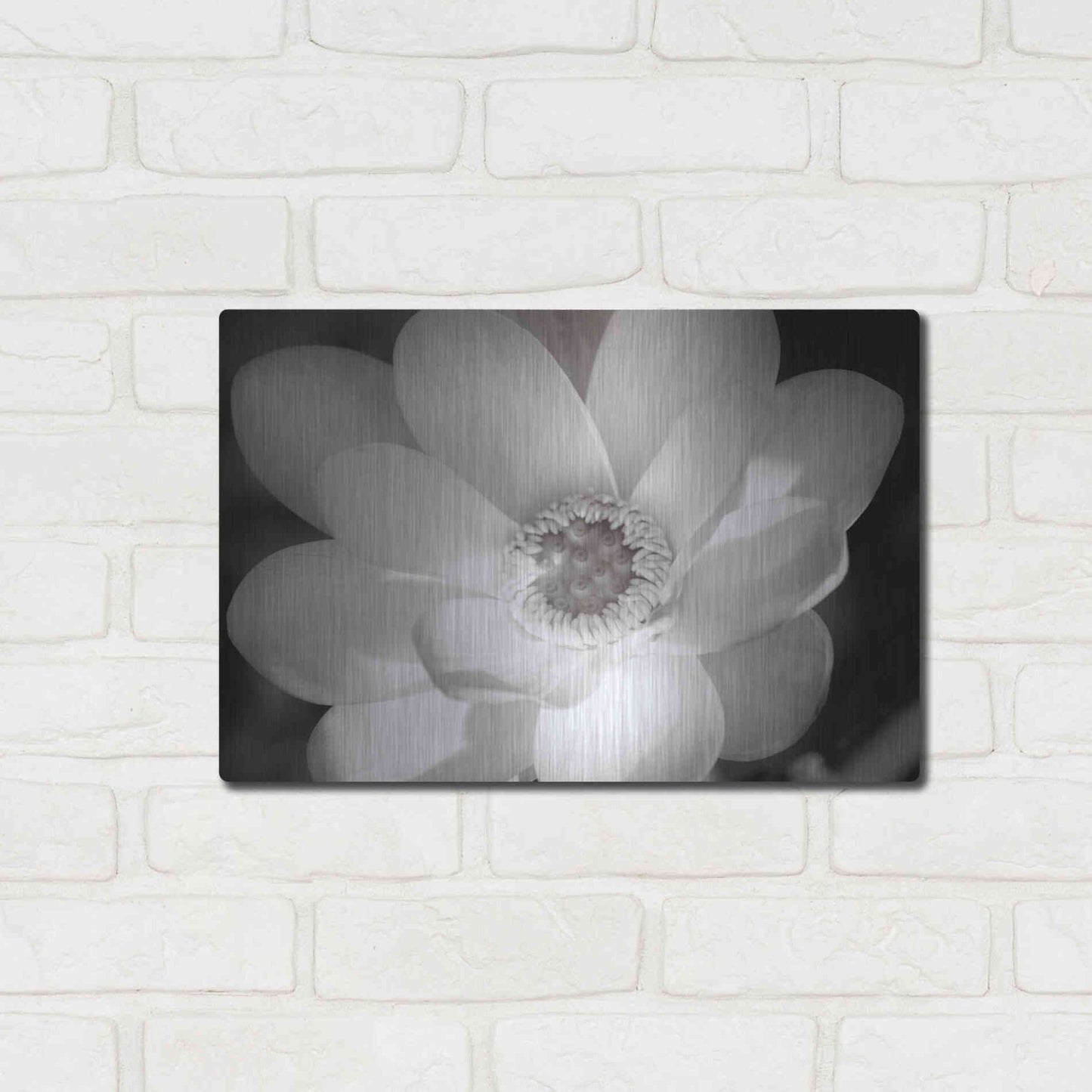 Luxe Metal Art 'Lotus Flower V' by Debra Van Swearingen, Metal Wall Art,16x12