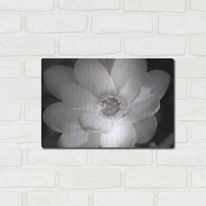 Luxe Metal Art 'Lotus Flower V' by Debra Van Swearingen, Metal Wall Art,16x12