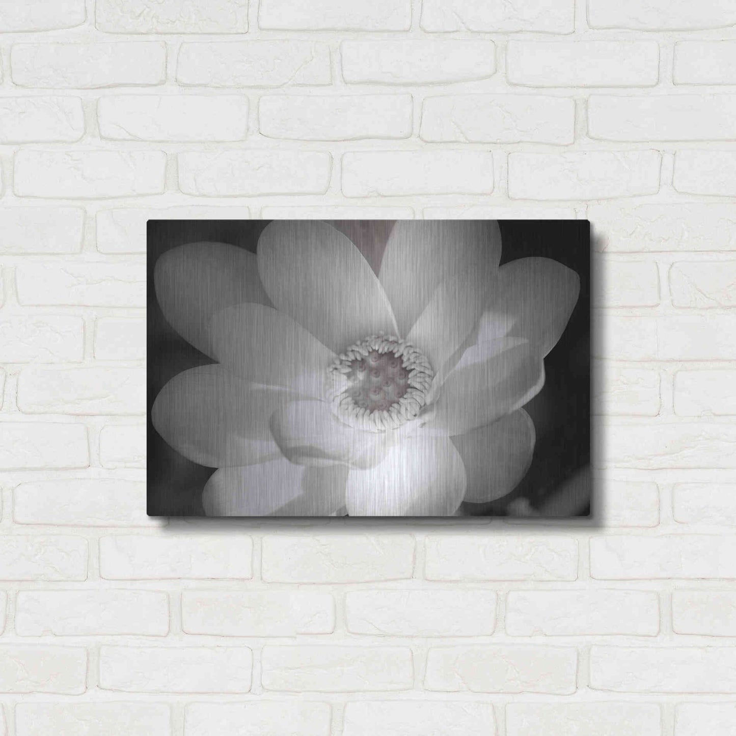 Luxe Metal Art 'Lotus Flower V' by Debra Van Swearingen, Metal Wall Art,24x16