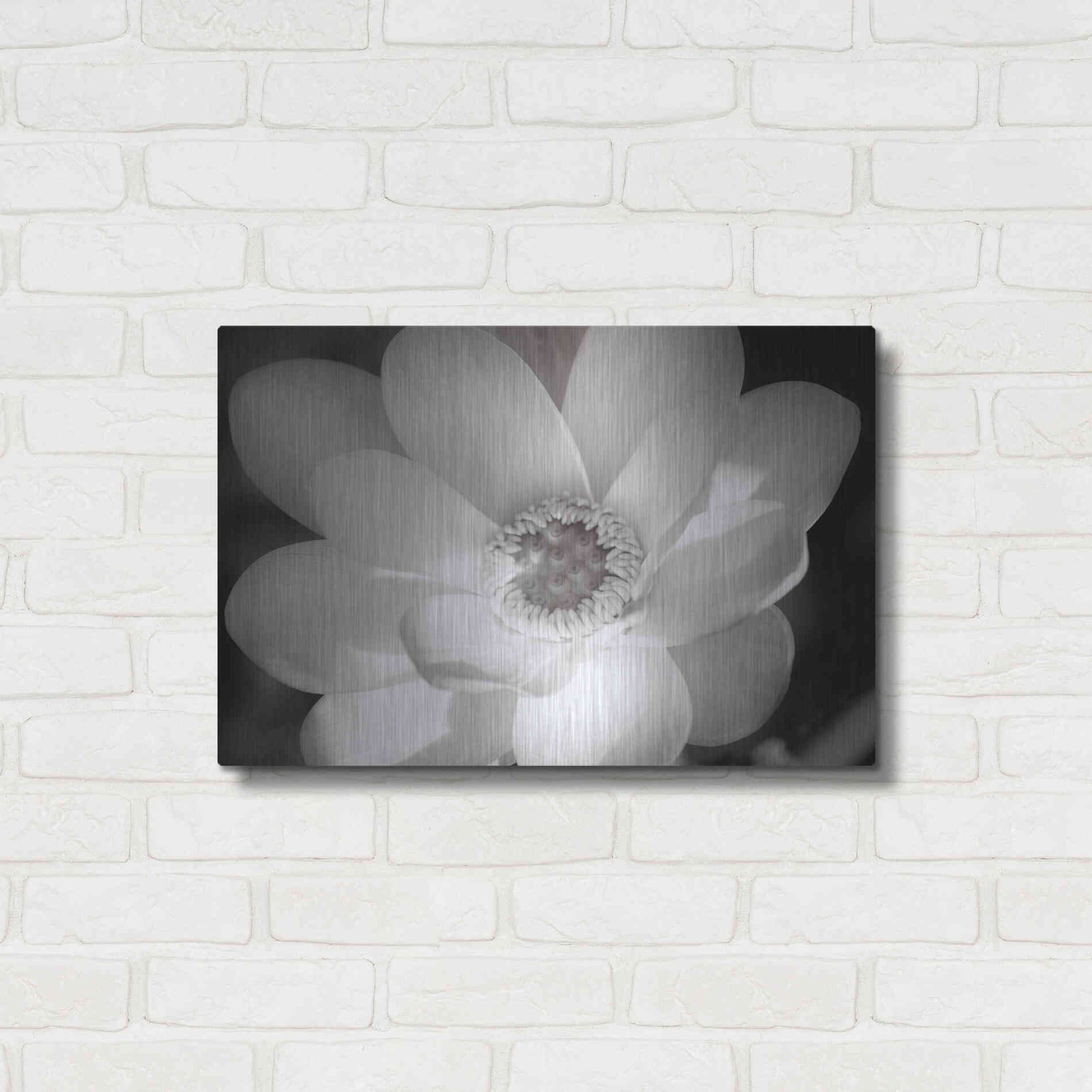 Luxe Metal Art 'Lotus Flower V' by Debra Van Swearingen, Metal Wall Art,24x16