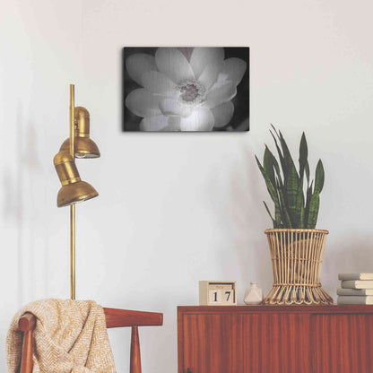 Luxe Metal Art 'Lotus Flower V' by Debra Van Swearingen, Metal Wall Art,24x16