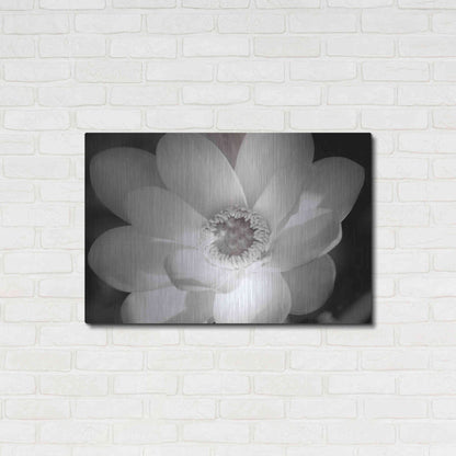 Luxe Metal Art 'Lotus Flower V' by Debra Van Swearingen, Metal Wall Art,36x24