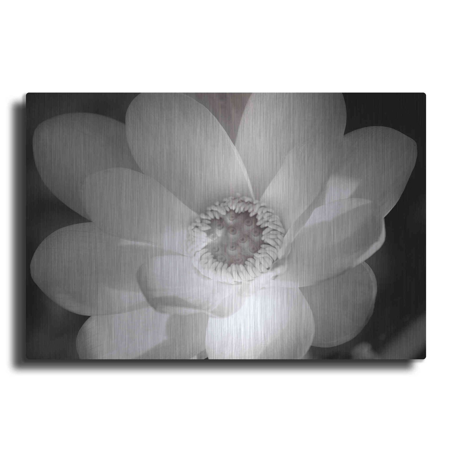 Luxe Metal Art 'Lotus Flower V' by Debra Van Swearingen, Metal Wall Art