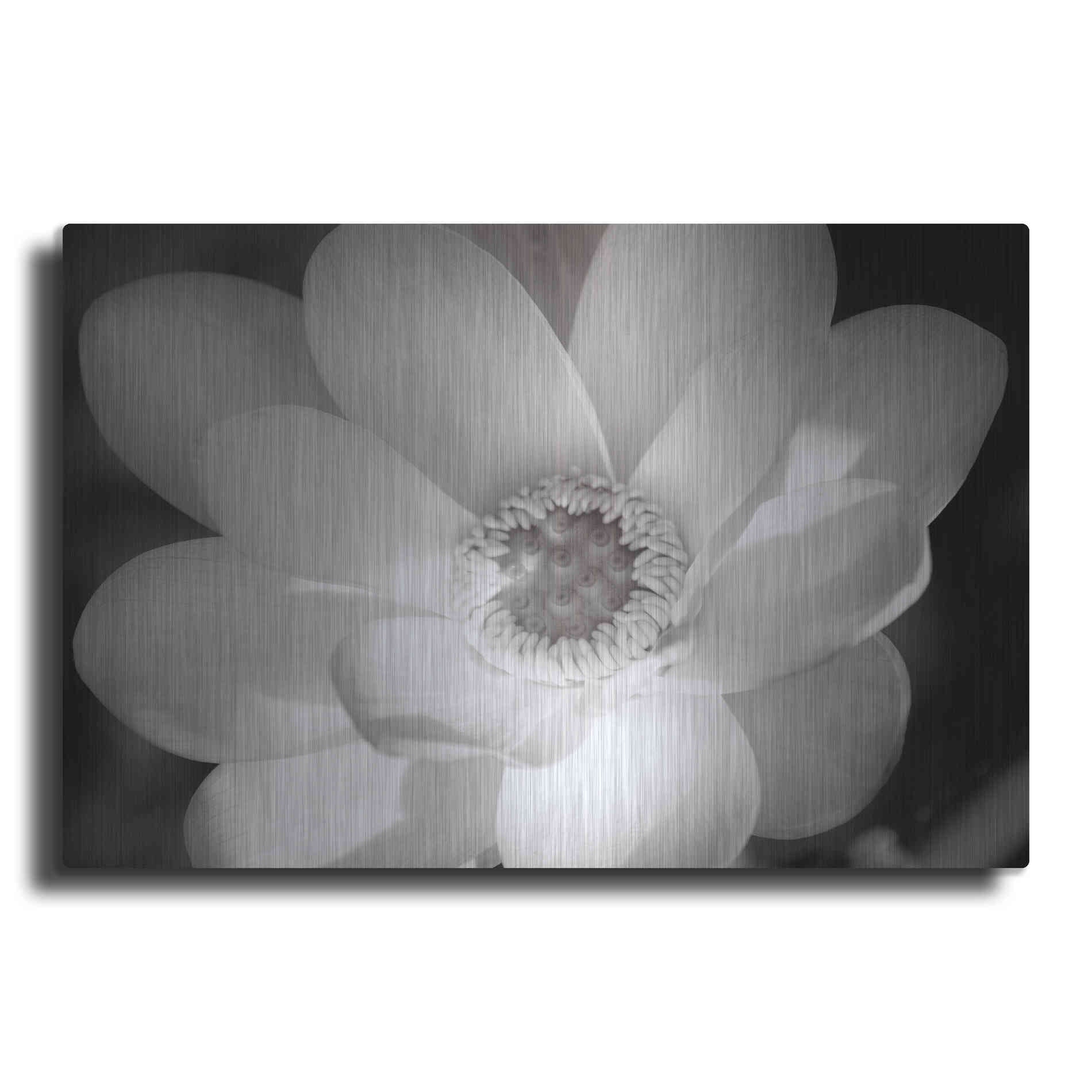 Luxe Metal Art 'Lotus Flower V' by Debra Van Swearingen, Metal Wall Art