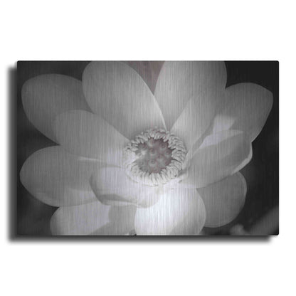 Luxe Metal Art 'Lotus Flower V' by Debra Van Swearingen, Metal Wall Art