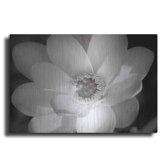 Luxe Metal Art 'Lotus Flower V' by Debra Van Swearingen, Metal Wall Art