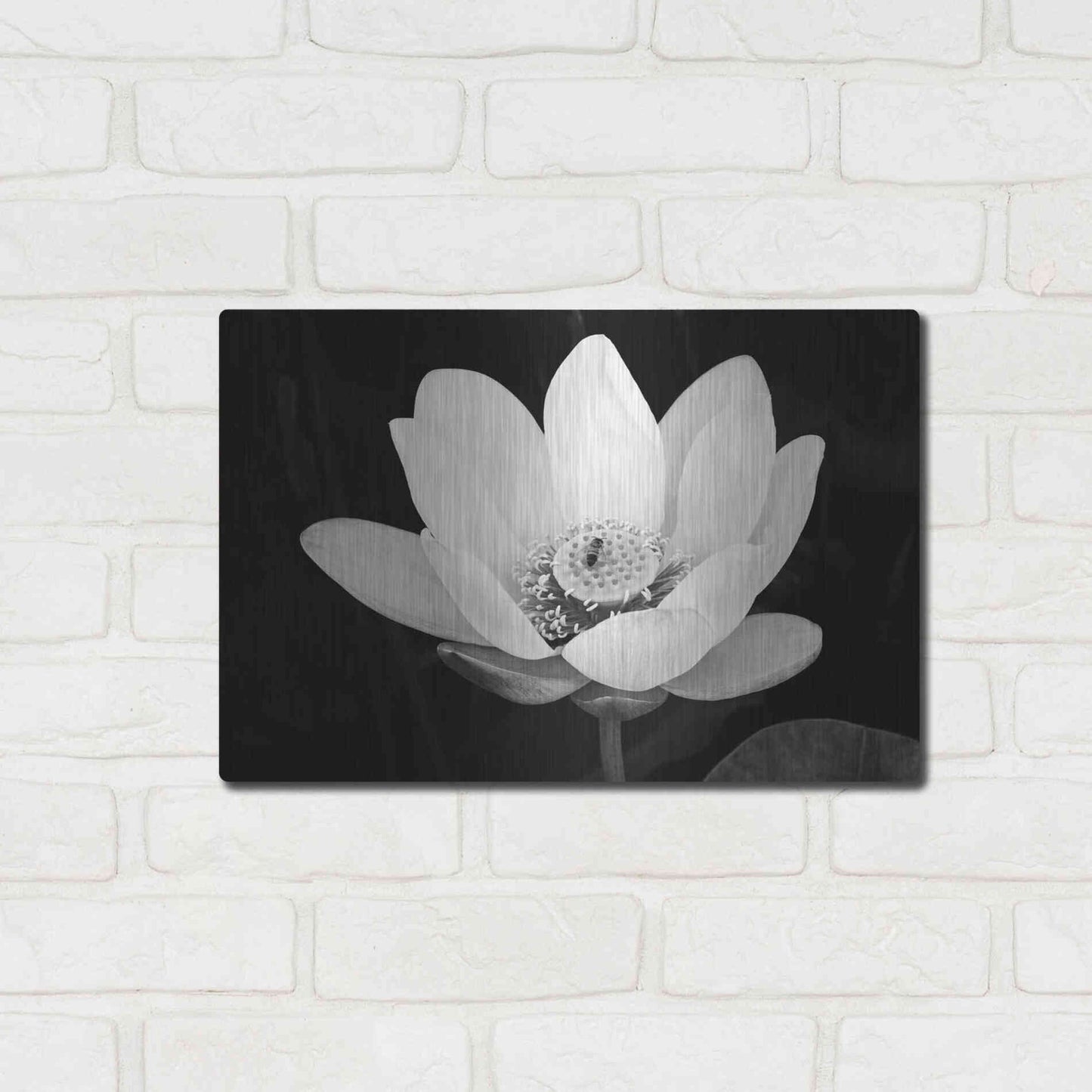 Luxe Metal Art 'Lotus Flower I v2' by Debra Van Swearingen, Metal Wall Art,16x12