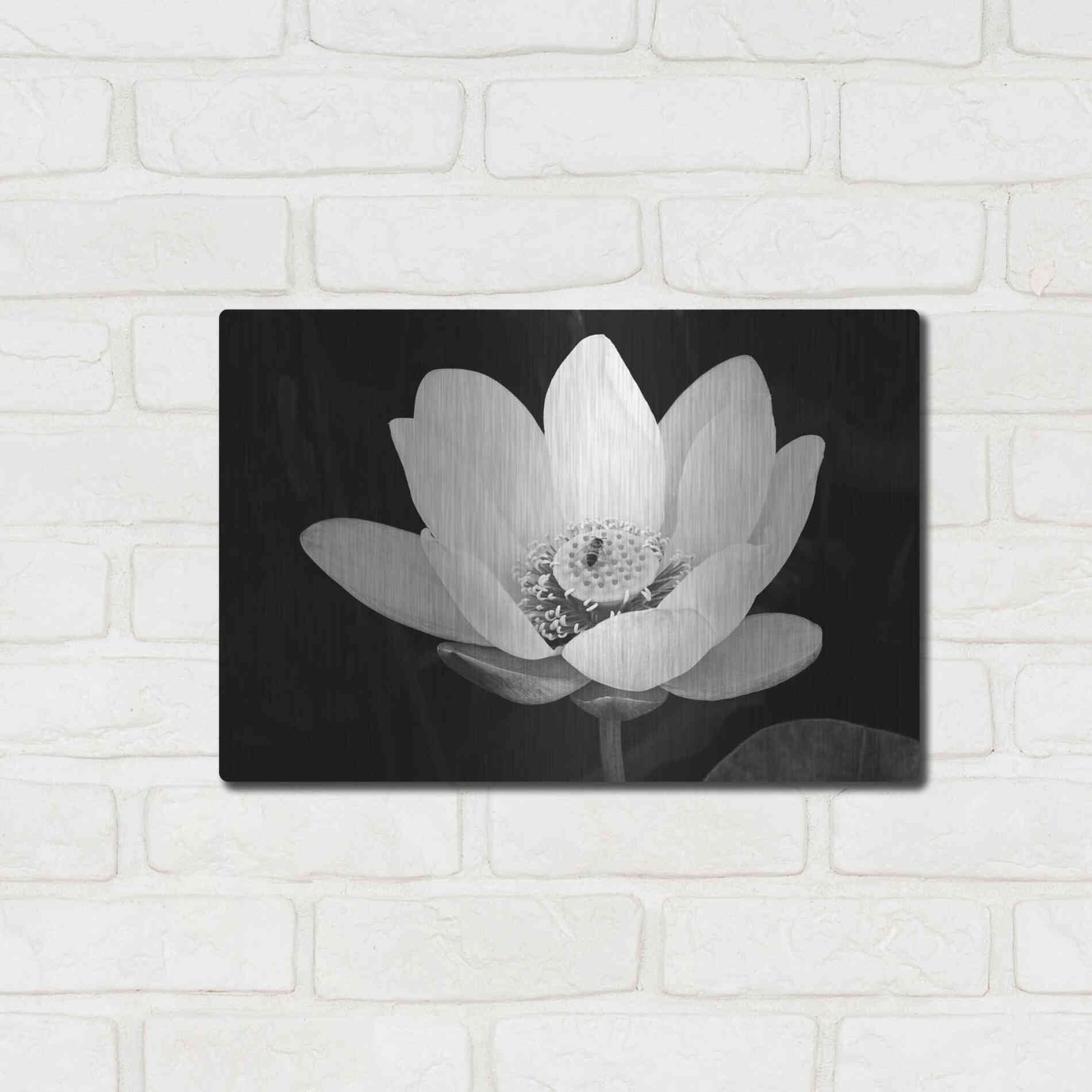 Luxe Metal Art 'Lotus Flower I v2' by Debra Van Swearingen, Metal Wall Art,16x12