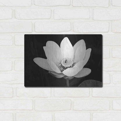 Luxe Metal Art 'Lotus Flower I v2' by Debra Van Swearingen, Metal Wall Art,16x12