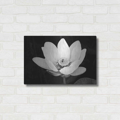 Luxe Metal Art 'Lotus Flower I v2' by Debra Van Swearingen, Metal Wall Art,24x16