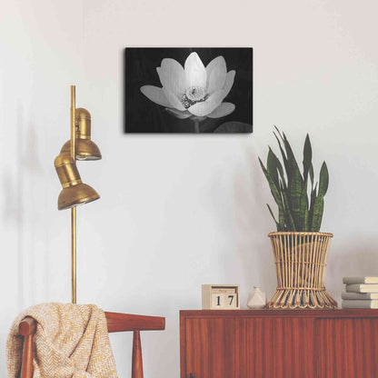 Luxe Metal Art 'Lotus Flower I v2' by Debra Van Swearingen, Metal Wall Art,24x16