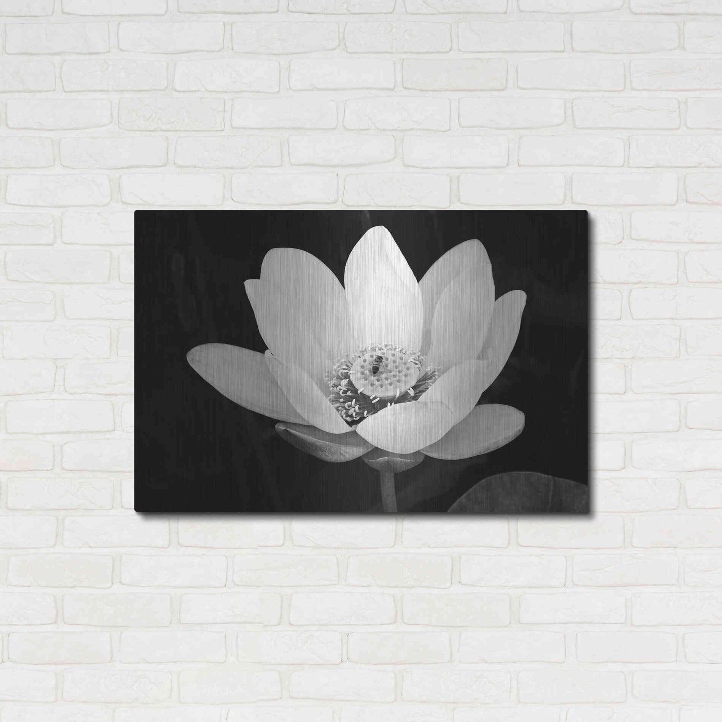 Luxe Metal Art 'Lotus Flower I v2' by Debra Van Swearingen, Metal Wall Art,36x24