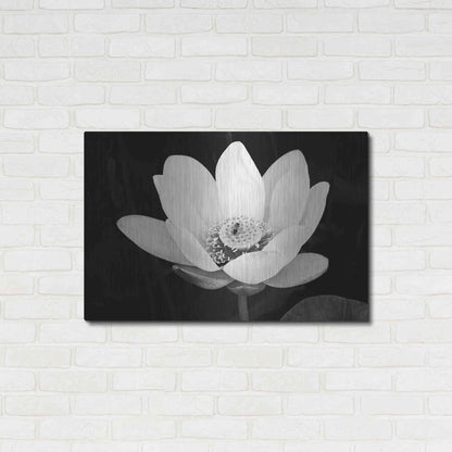Luxe Metal Art 'Lotus Flower I v2' by Debra Van Swearingen, Metal Wall Art,36x24