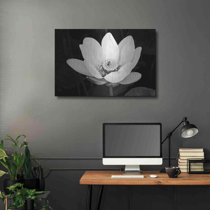 Luxe Metal Art 'Lotus Flower I v2' by Debra Van Swearingen, Metal Wall Art,36x24