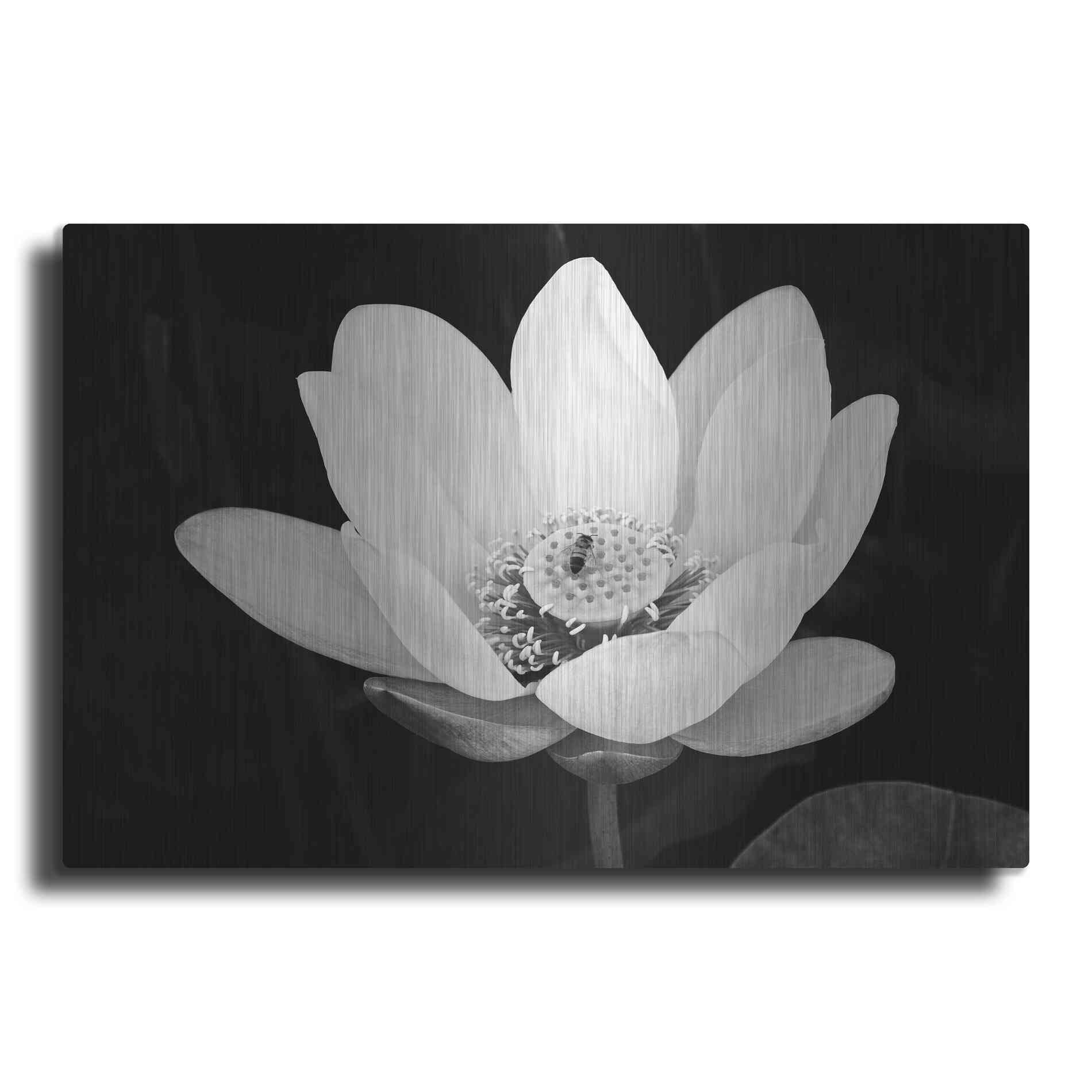 Luxe Metal Art 'Lotus Flower I v2' by Debra Van Swearingen, Metal Wall Art