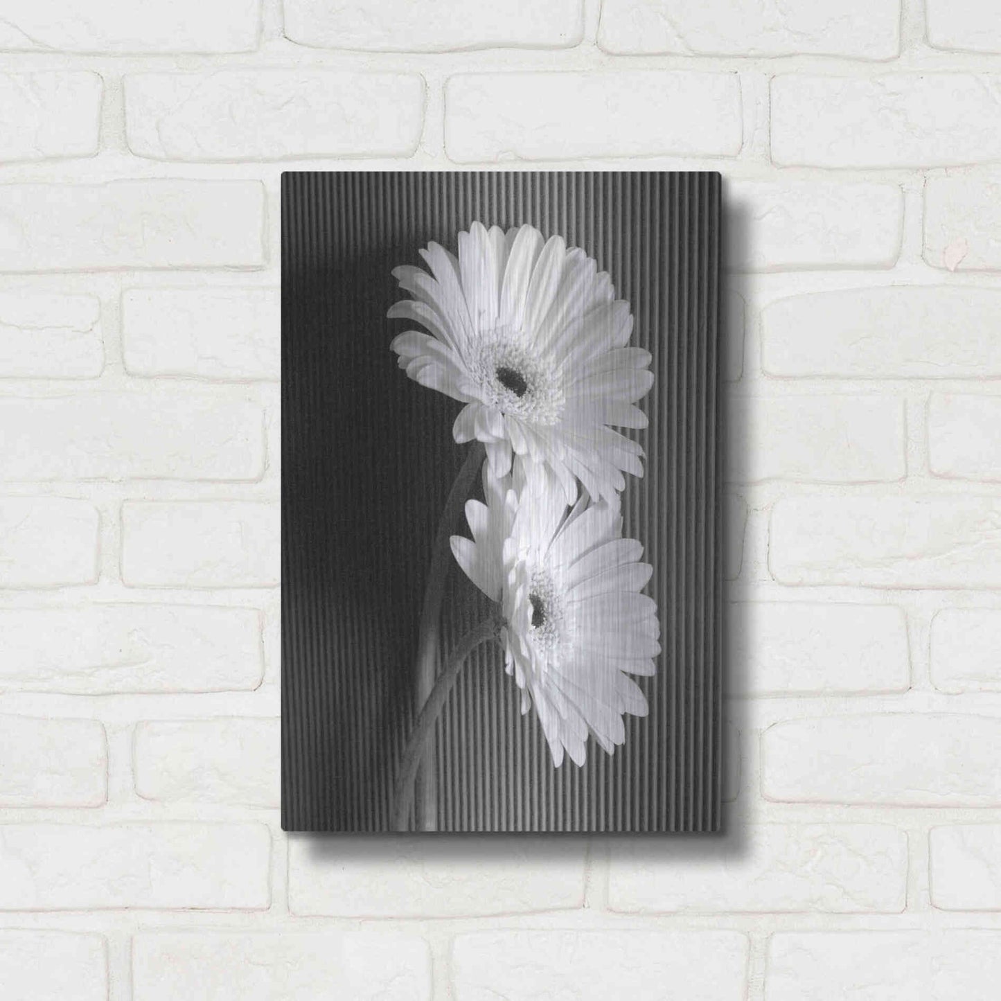 Luxe Metal Art 'Fresh Cut Daisy I' by Debra Van Swearingen, Metal Wall Art,12x16