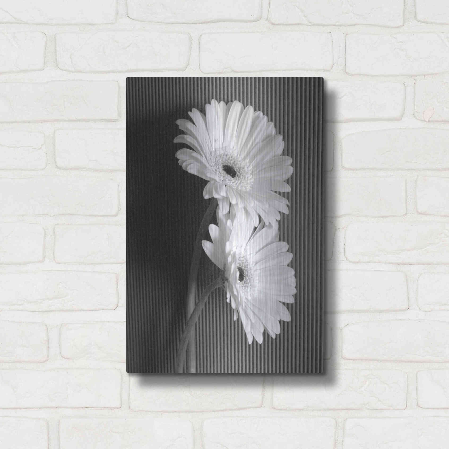 Luxe Metal Art 'Fresh Cut Daisy I' by Debra Van Swearingen, Metal Wall Art,12x16
