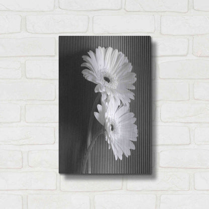 Luxe Metal Art 'Fresh Cut Daisy I' by Debra Van Swearingen, Metal Wall Art,12x16