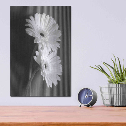 Luxe Metal Art 'Fresh Cut Daisy I' by Debra Van Swearingen, Metal Wall Art,12x16
