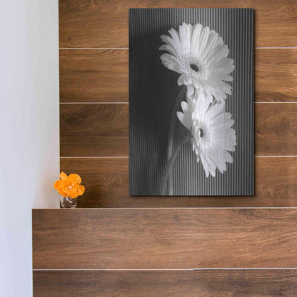Luxe Metal Art 'Fresh Cut Daisy I' by Debra Van Swearingen, Metal Wall Art,12x16