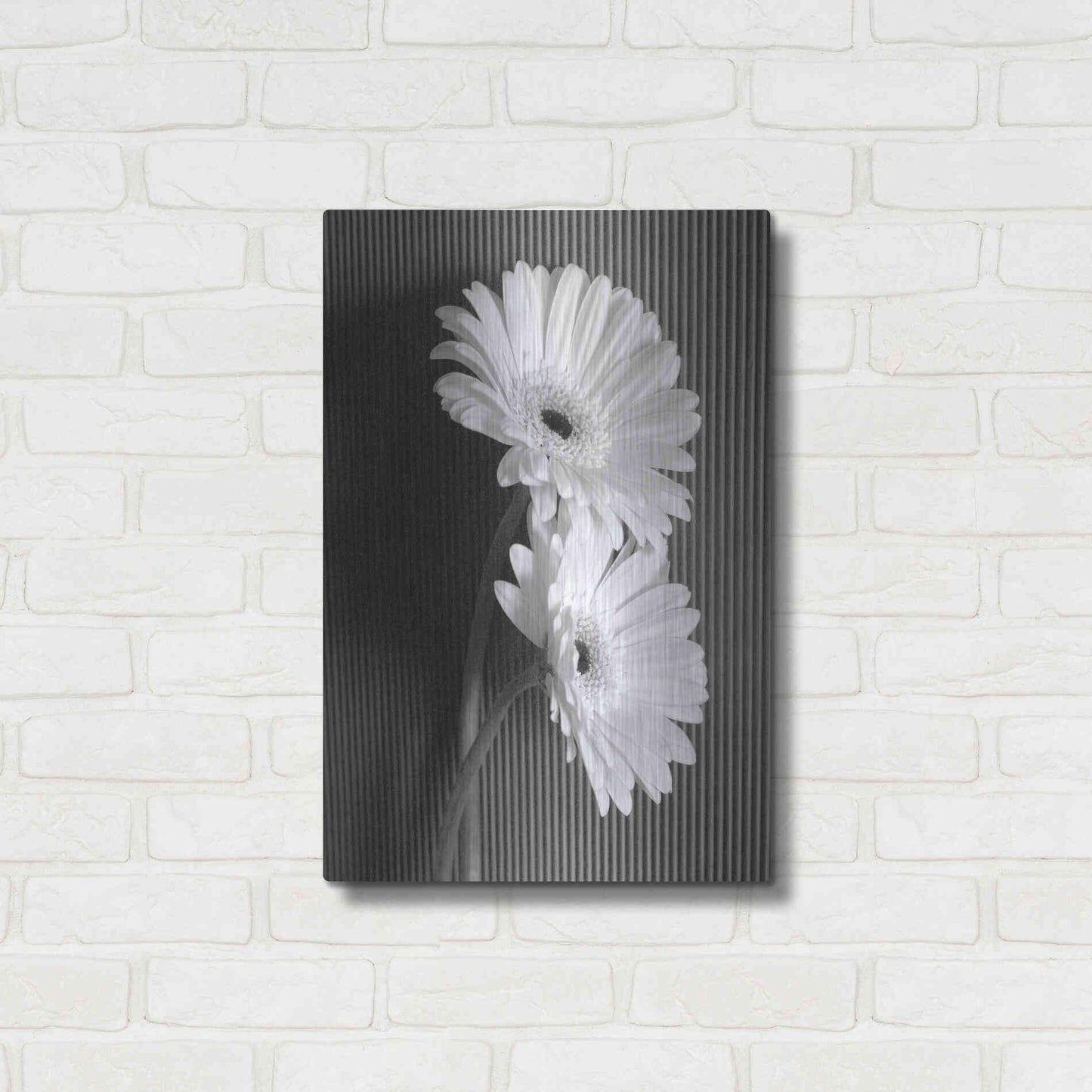 Luxe Metal Art 'Fresh Cut Daisy I' by Debra Van Swearingen, Metal Wall Art,16x24