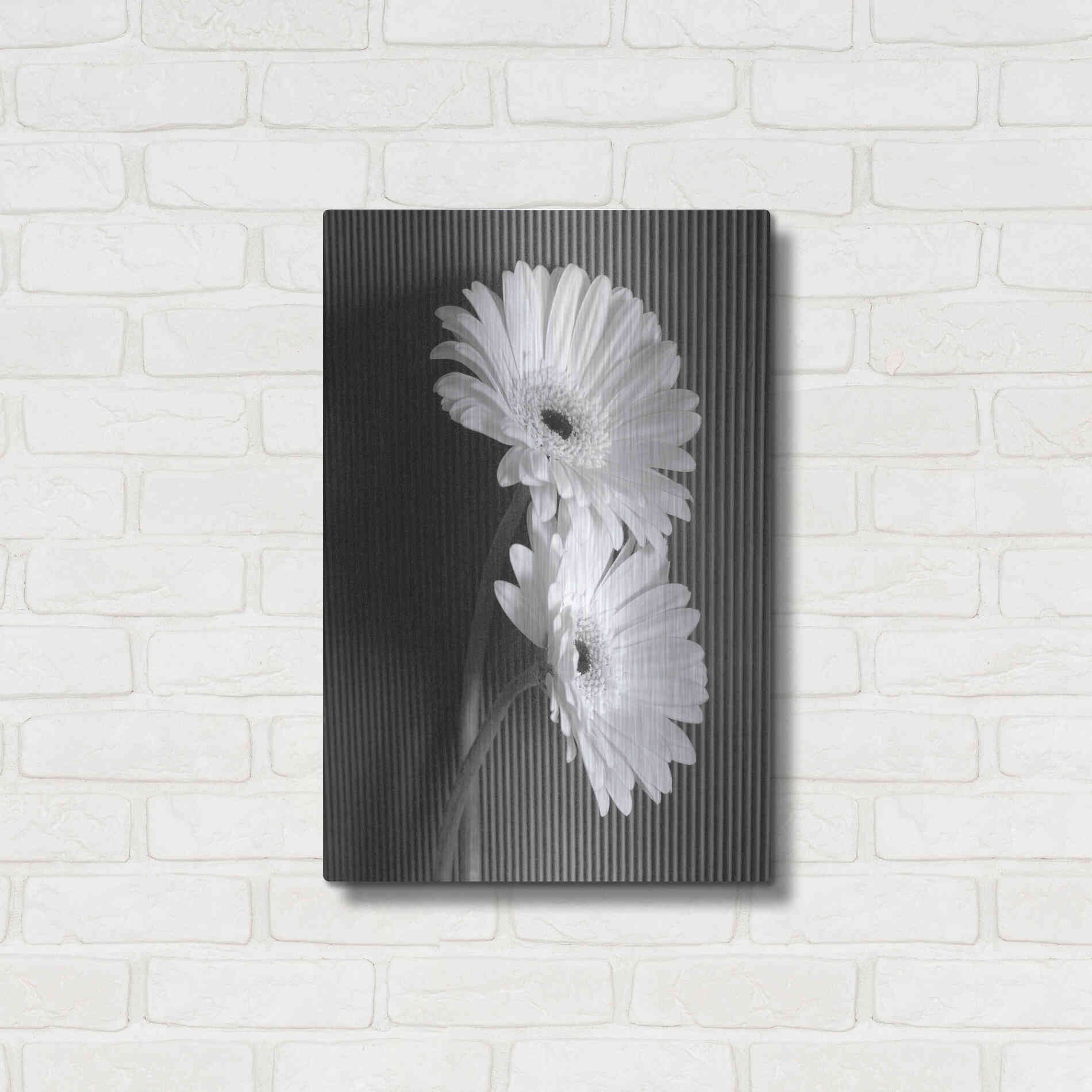 Luxe Metal Art 'Fresh Cut Daisy I' by Debra Van Swearingen, Metal Wall Art,16x24
