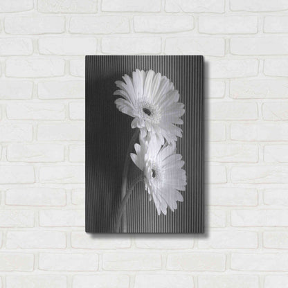 Luxe Metal Art 'Fresh Cut Daisy I' by Debra Van Swearingen, Metal Wall Art,16x24