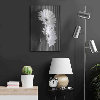 Luxe Metal Art 'Fresh Cut Daisy I' by Debra Van Swearingen, Metal Wall Art,16x24
