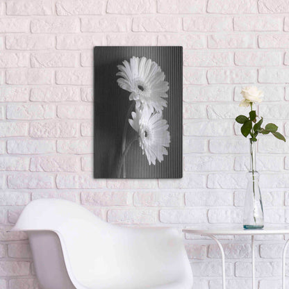 Luxe Metal Art 'Fresh Cut Daisy I' by Debra Van Swearingen, Metal Wall Art,16x24