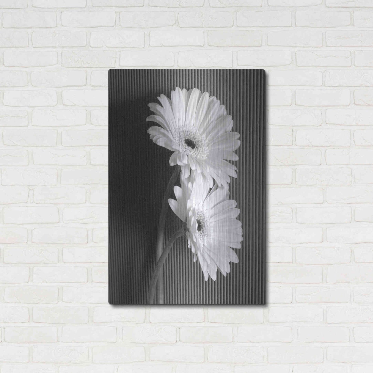 Luxe Metal Art 'Fresh Cut Daisy I' by Debra Van Swearingen, Metal Wall Art,24x36