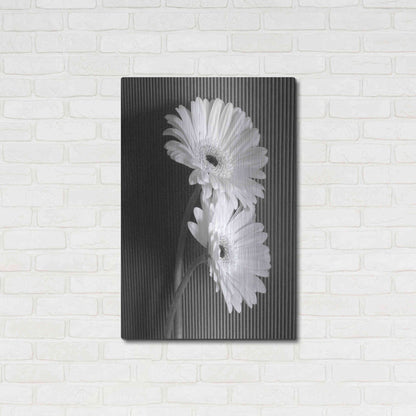 Luxe Metal Art 'Fresh Cut Daisy I' by Debra Van Swearingen, Metal Wall Art,24x36