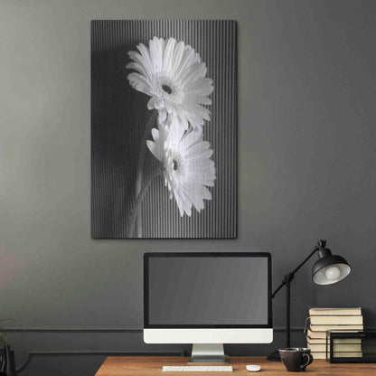 Luxe Metal Art 'Fresh Cut Daisy I' by Debra Van Swearingen, Metal Wall Art,24x36