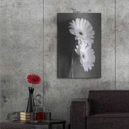 Luxe Metal Art 'Fresh Cut Daisy I' by Debra Van Swearingen, Metal Wall Art,24x36