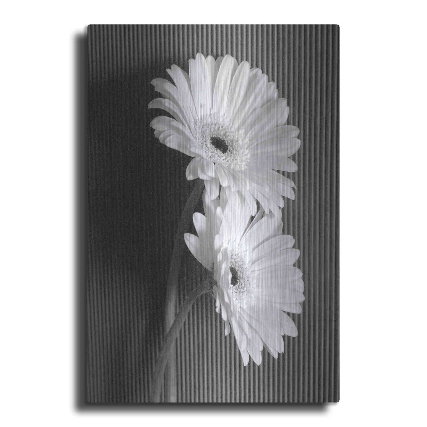 Luxe Metal Art 'Fresh Cut Daisy I' by Debra Van Swearingen, Metal Wall Art