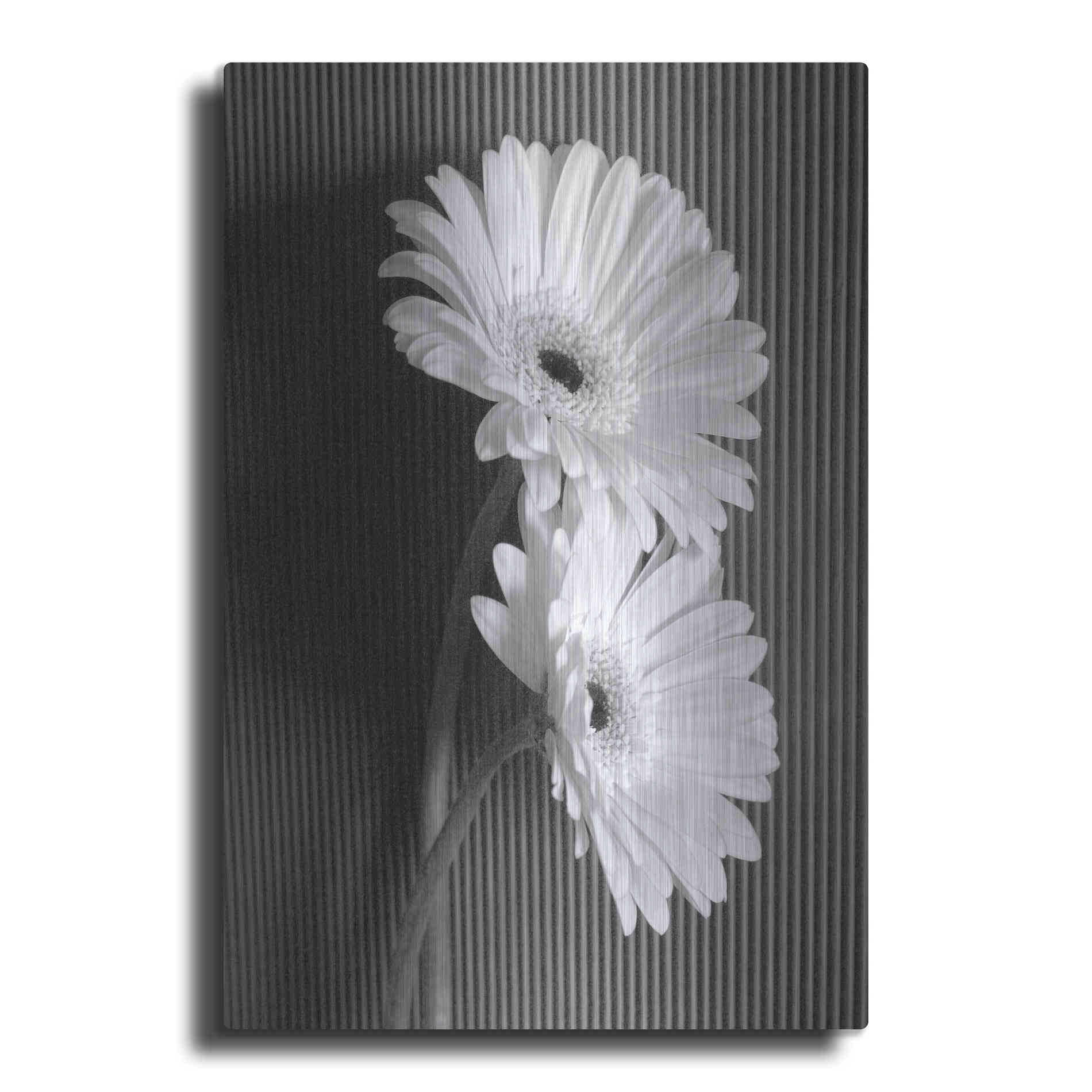 Luxe Metal Art 'Fresh Cut Daisy I' by Debra Van Swearingen, Metal Wall Art