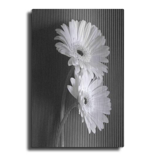 Luxe Metal Art 'Fresh Cut Daisy I' by Debra Van Swearingen, Metal Wall Art