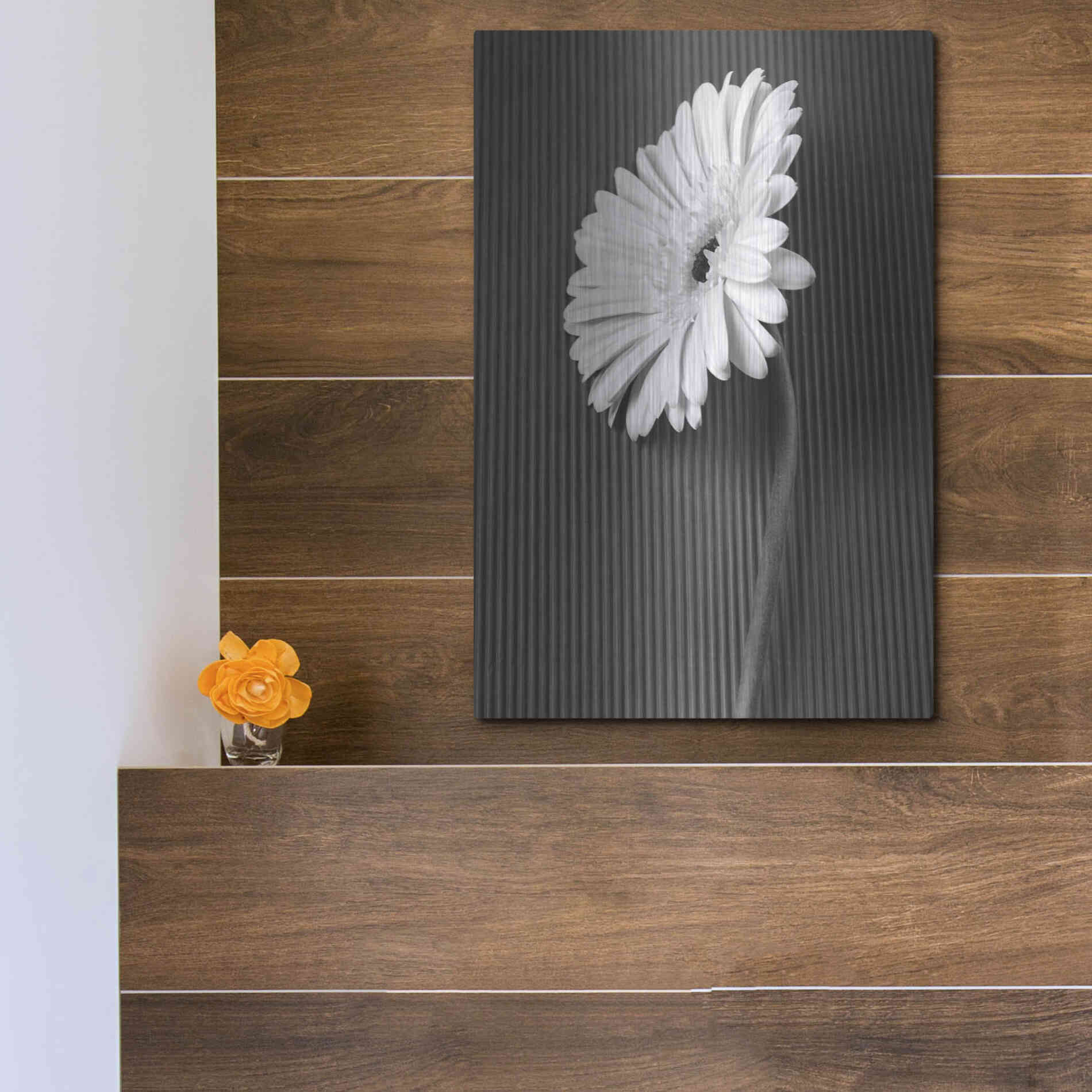 Luxe Metal Art 'Fresh Cut Daisy II' by Debra Van Swearingen, Metal Wall Art,12x16