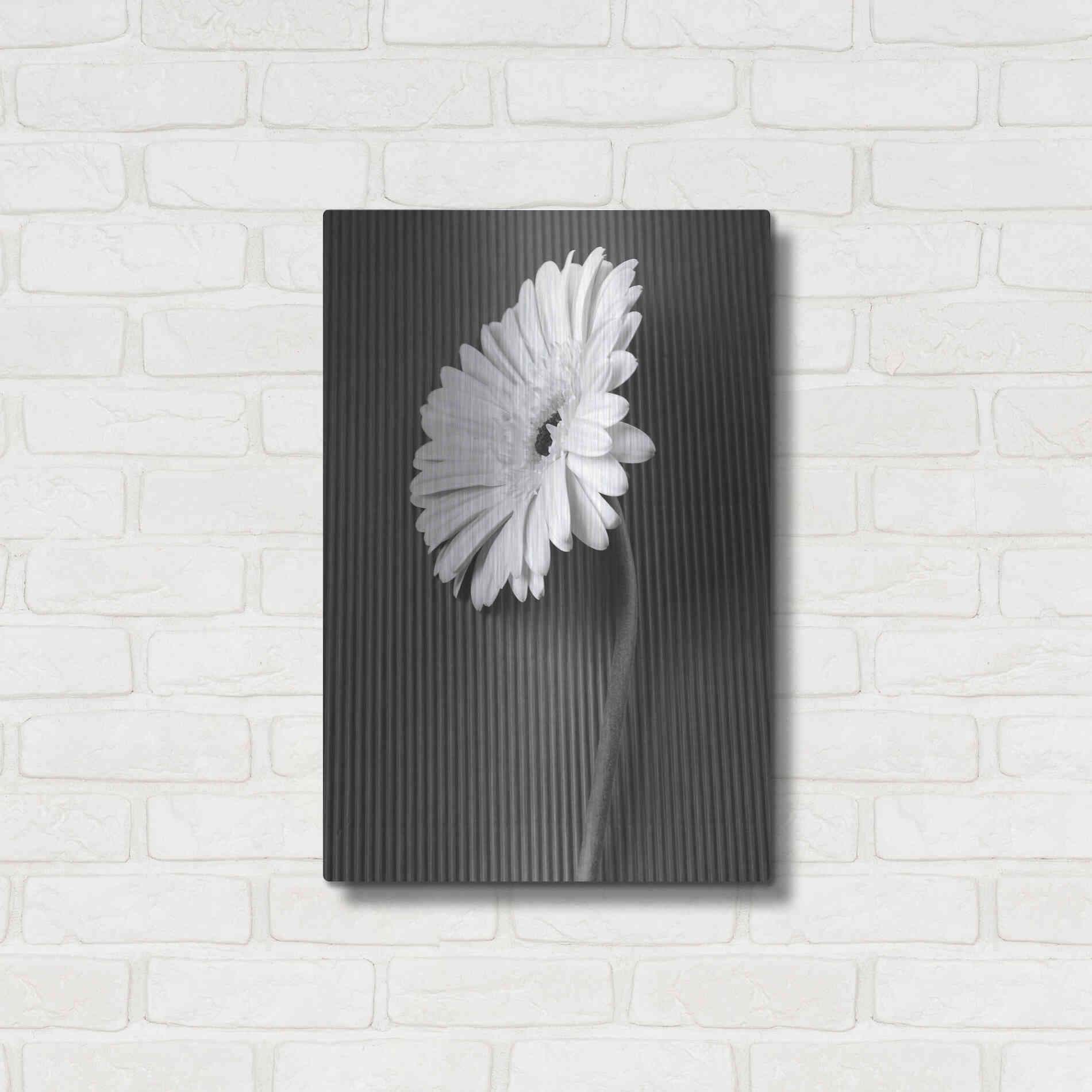 Luxe Metal Art 'Fresh Cut Daisy II' by Debra Van Swearingen, Metal Wall Art,16x24